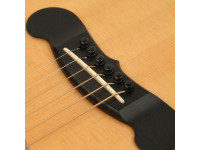 D´Addario  PWPS1